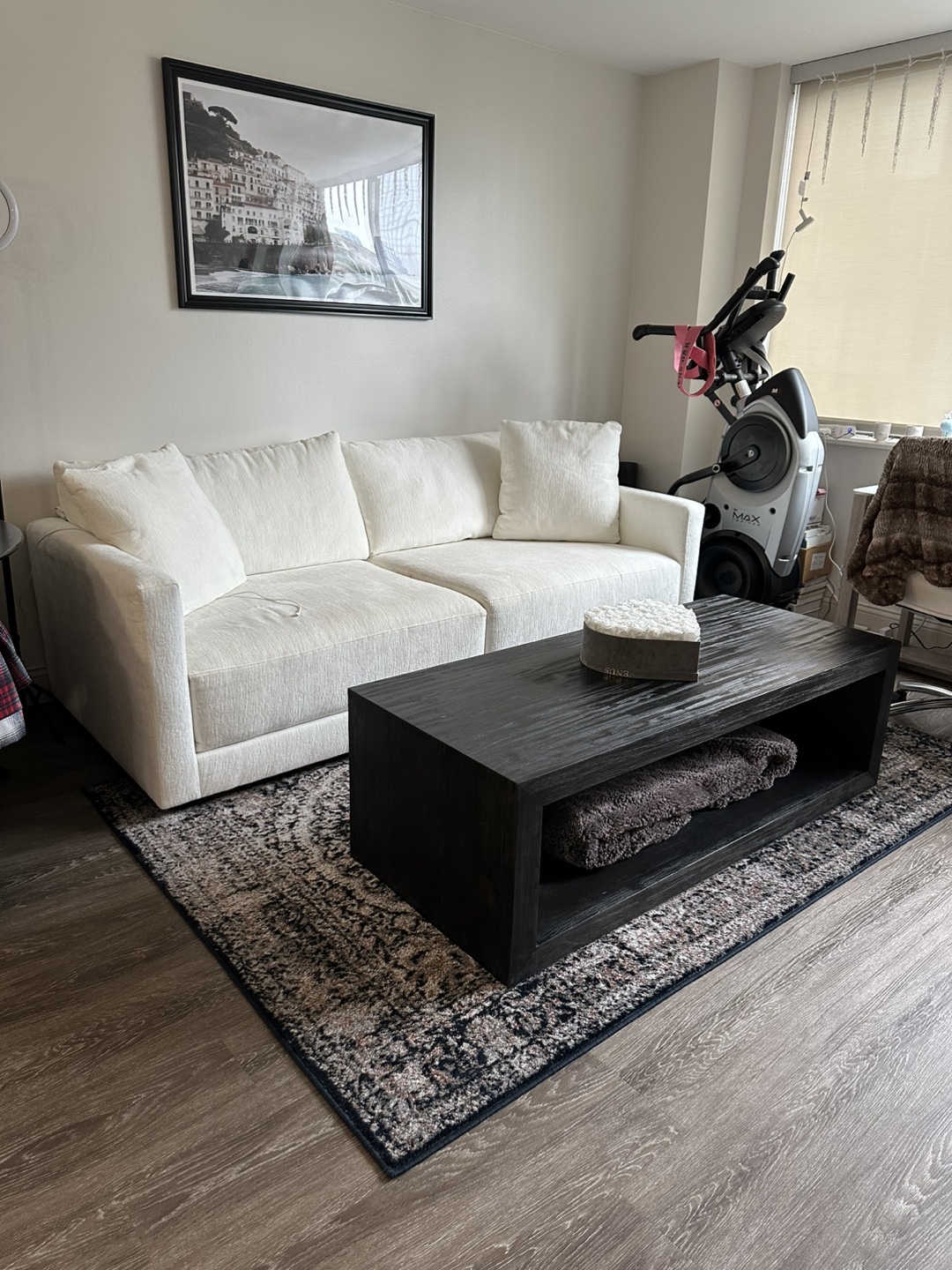 Area Rug - Black and Beige Pattern - photo 3