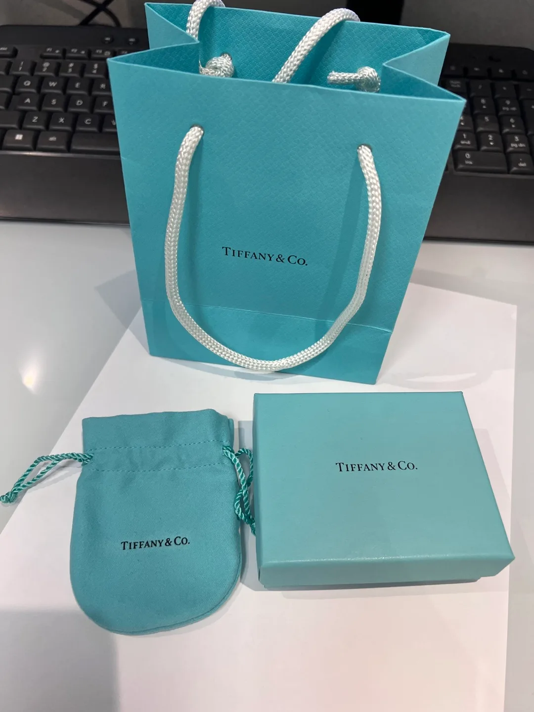 Tiffany & Co. Oval Tag Chain Necklace image indicator(4)