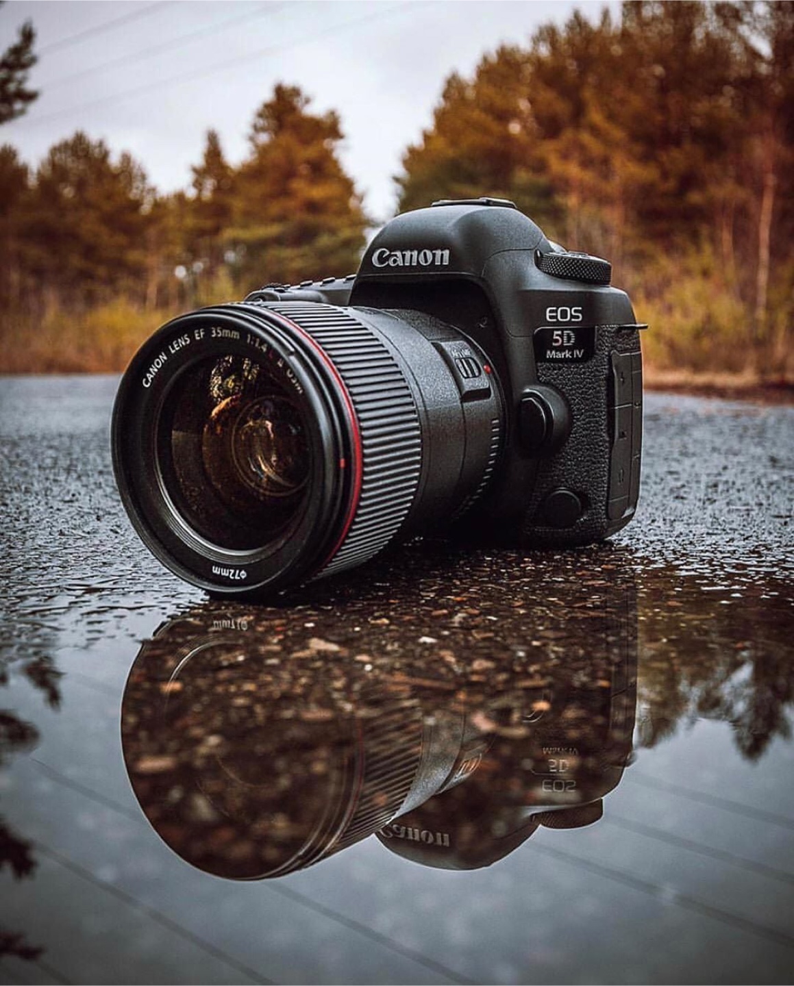 STARVING PHOTOGRAPHER LOOKING FOR FREE CAMERA