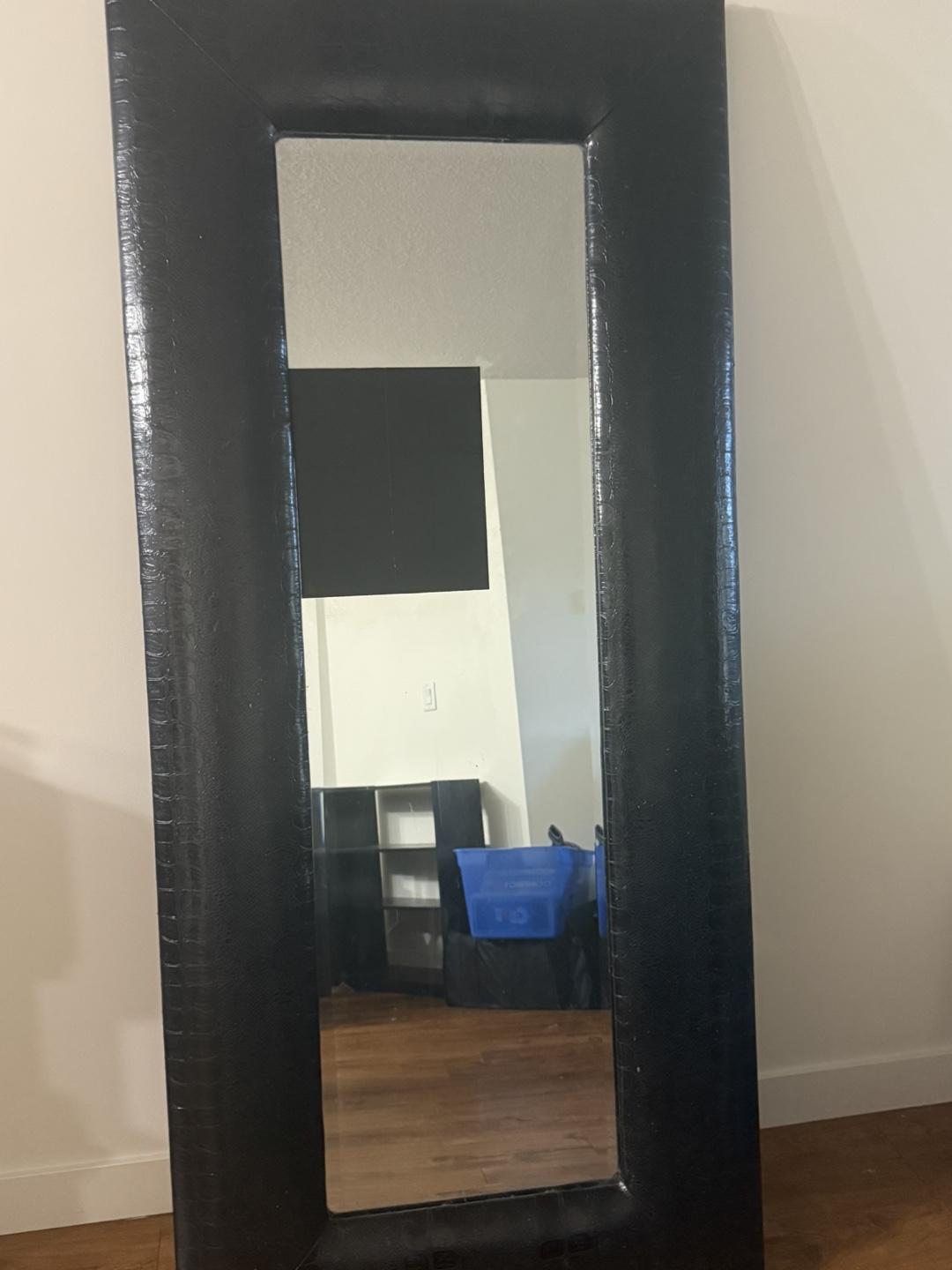 Black Framed Full Length Mirror