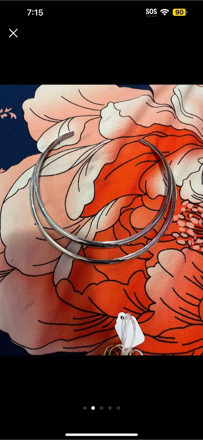 Necklaces Variety of Styles (all $10) image indicator(2)