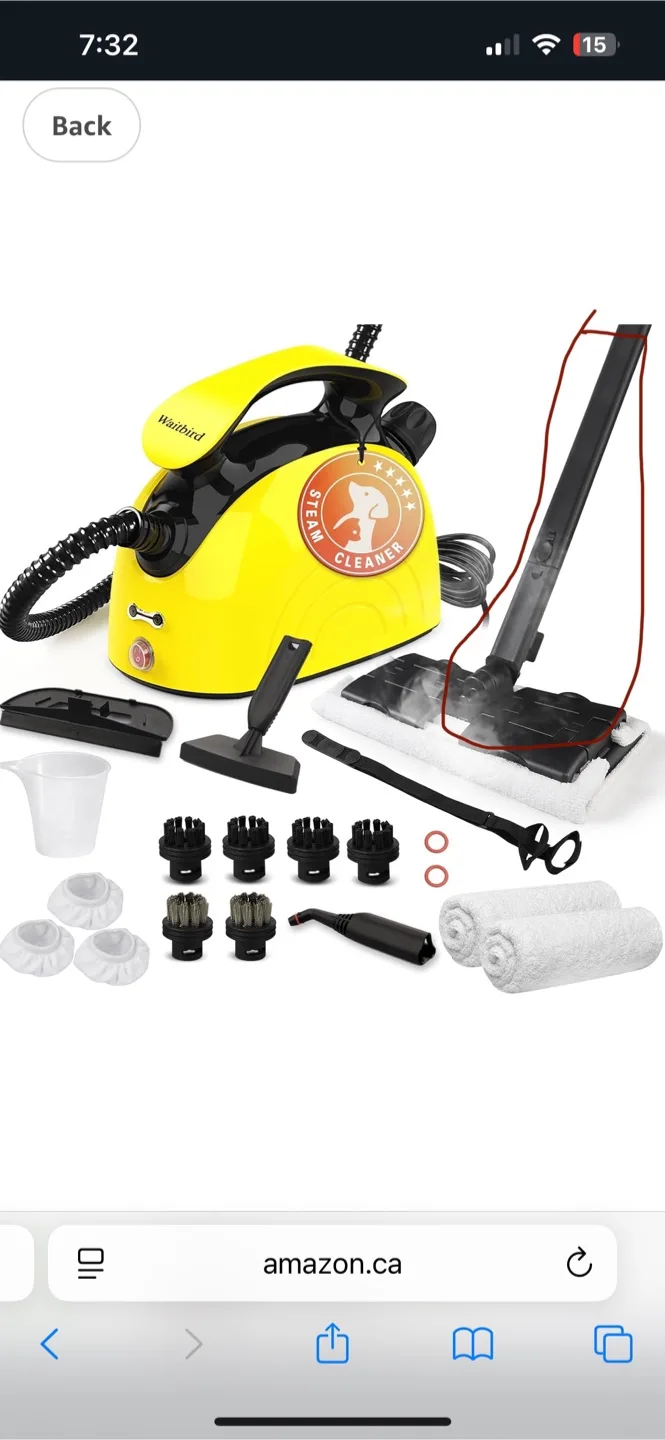 Waitbird Steam Cleaner with Accessories thumbnail