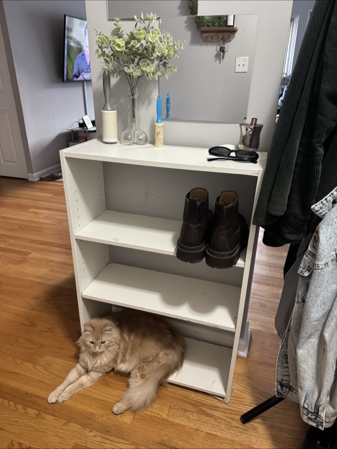 Book Shelf/Shoe Shelf