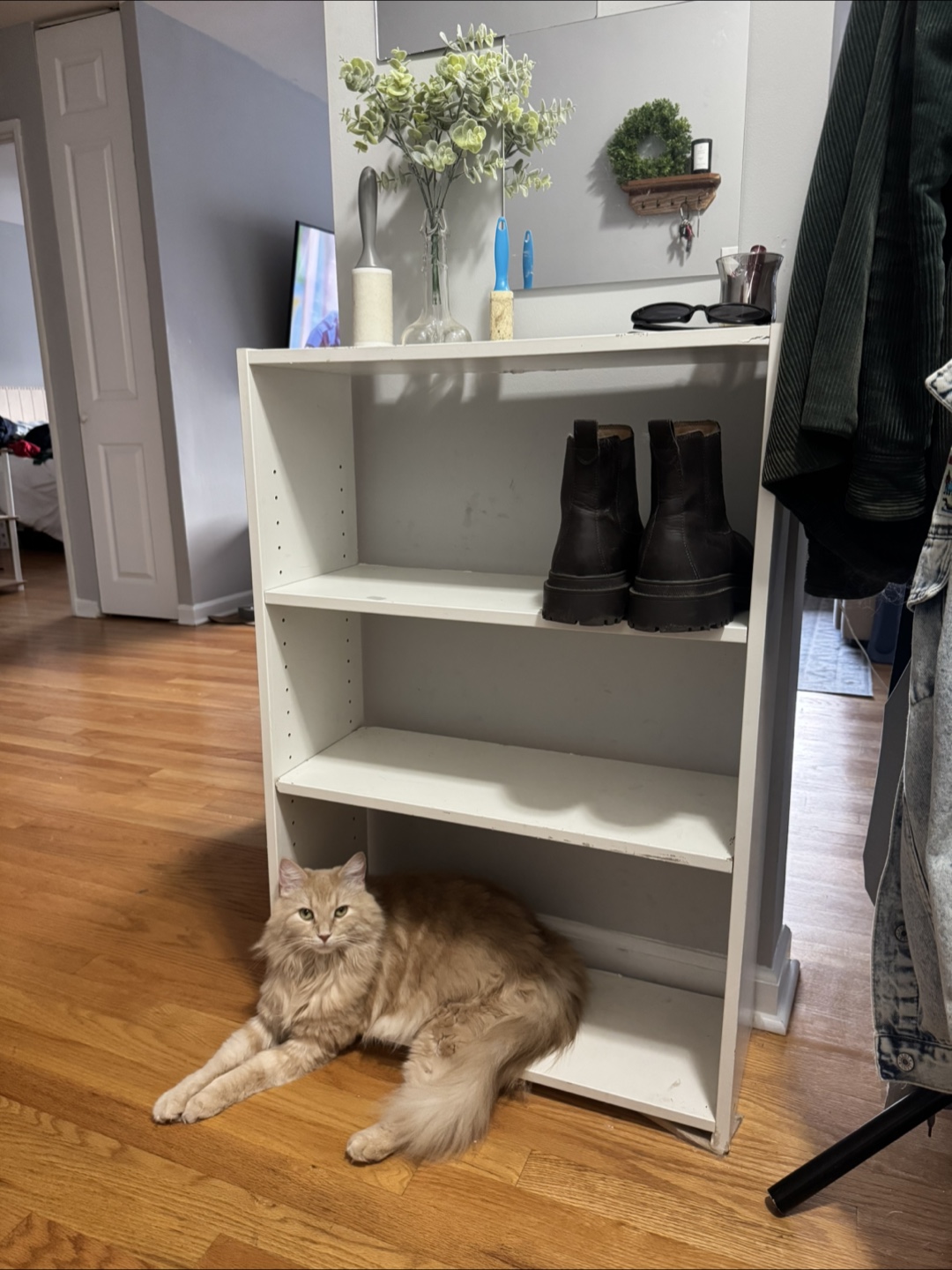 Book Shelf/Shoe Shelf - photo 2