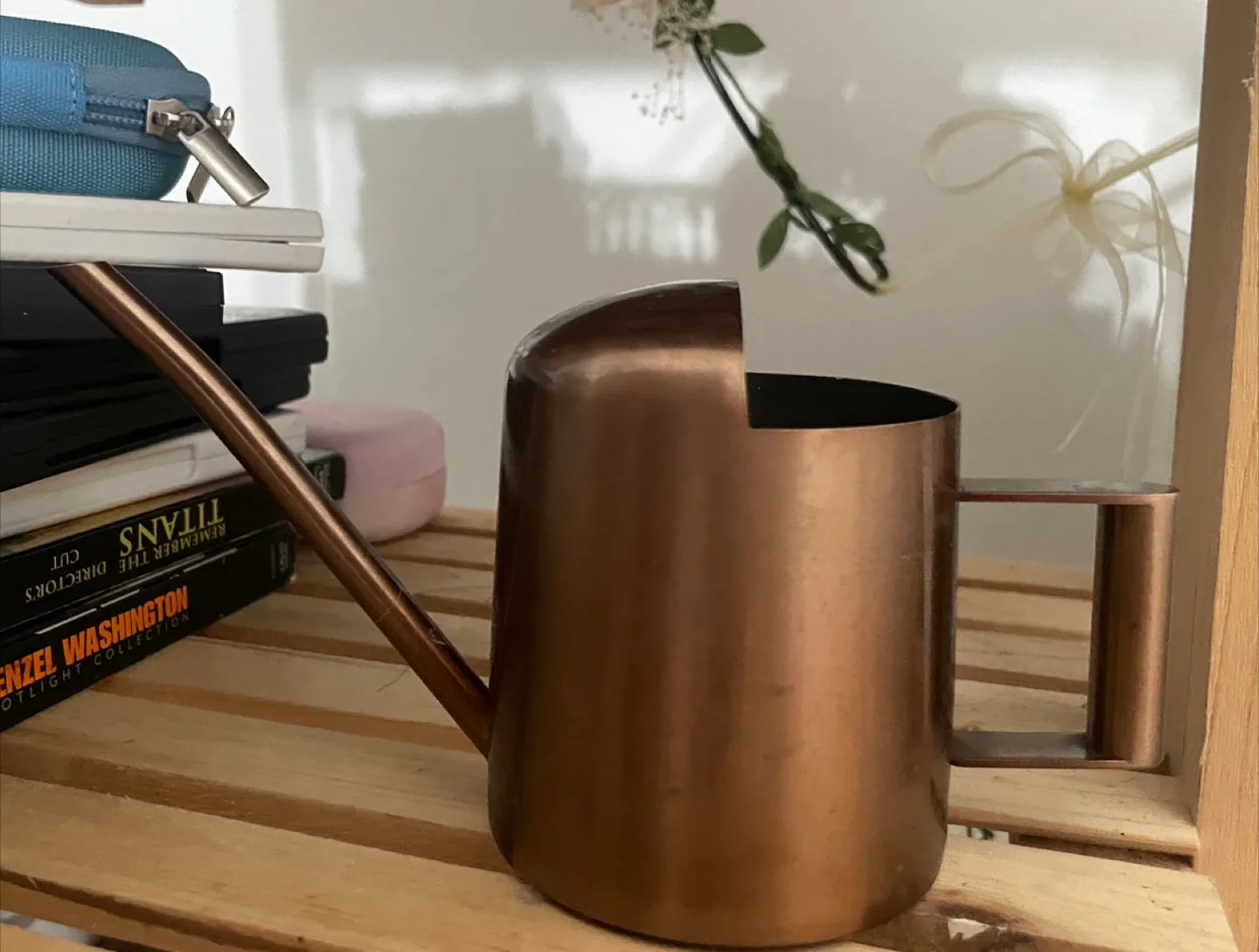 Copper watering can 🪴🚿 thumbnail