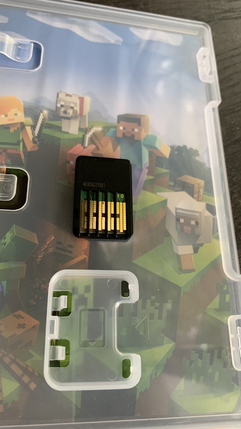 Minecraft for Nintendo Switch - photo 3