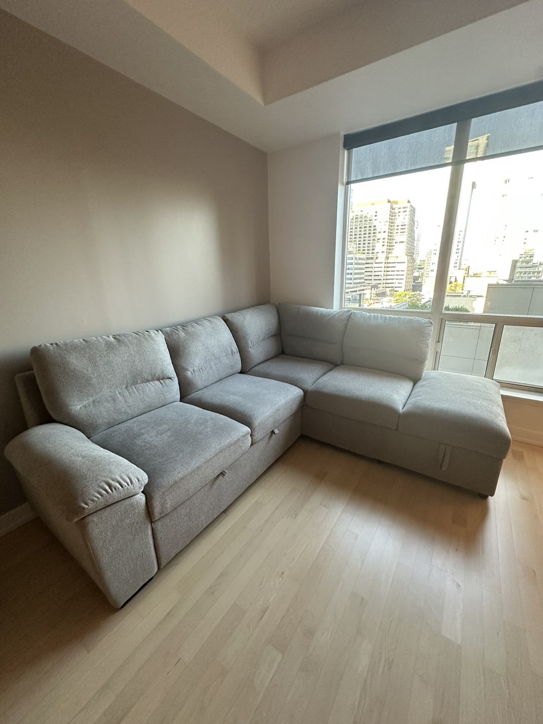 Light Grey Sectional Sofa/Sofabed - photo 2