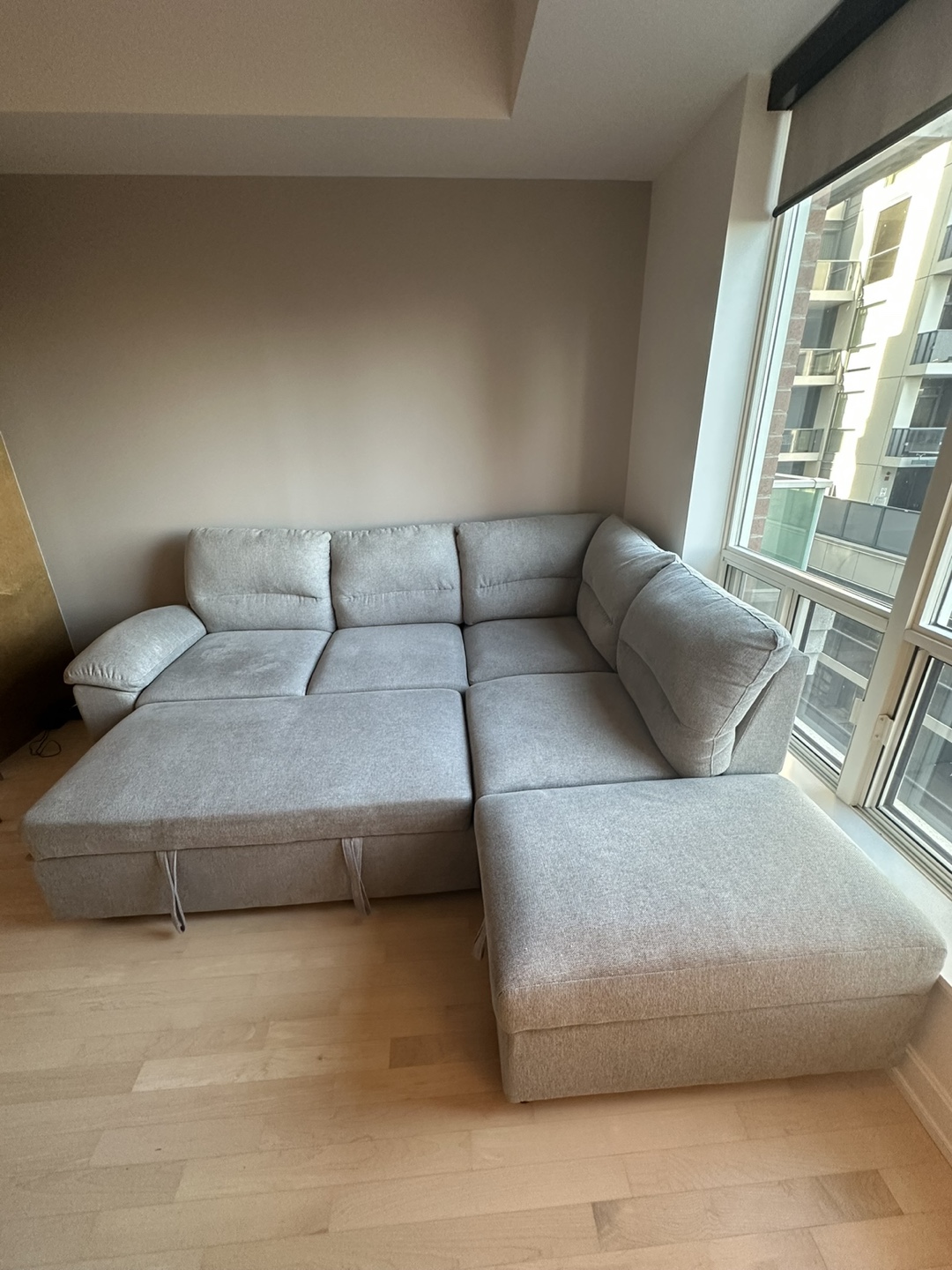 Light Grey Sectional Sofa/Sofabed - photo 4