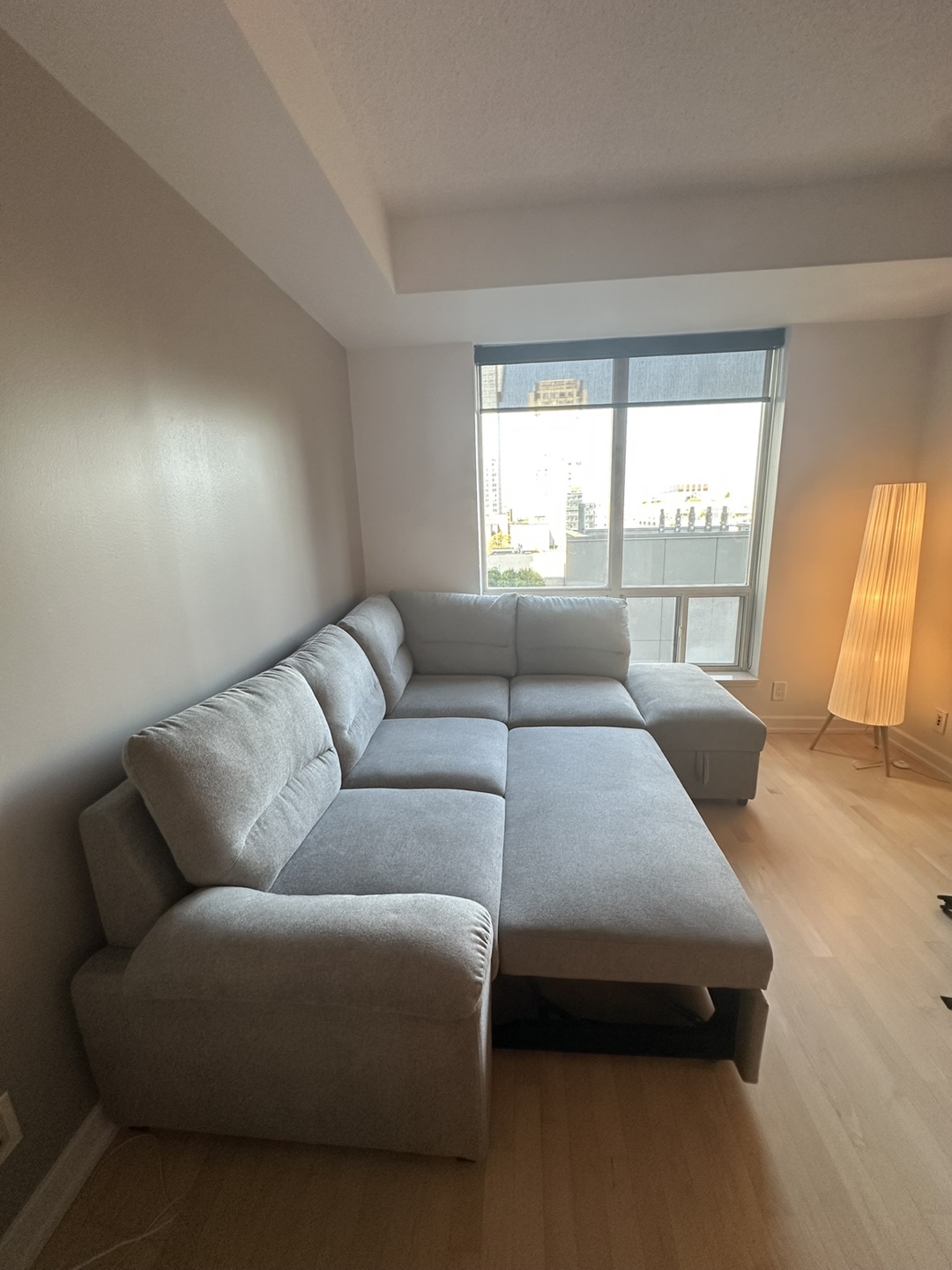 Light Grey Sectional Sofa/Sofabed - photo 5