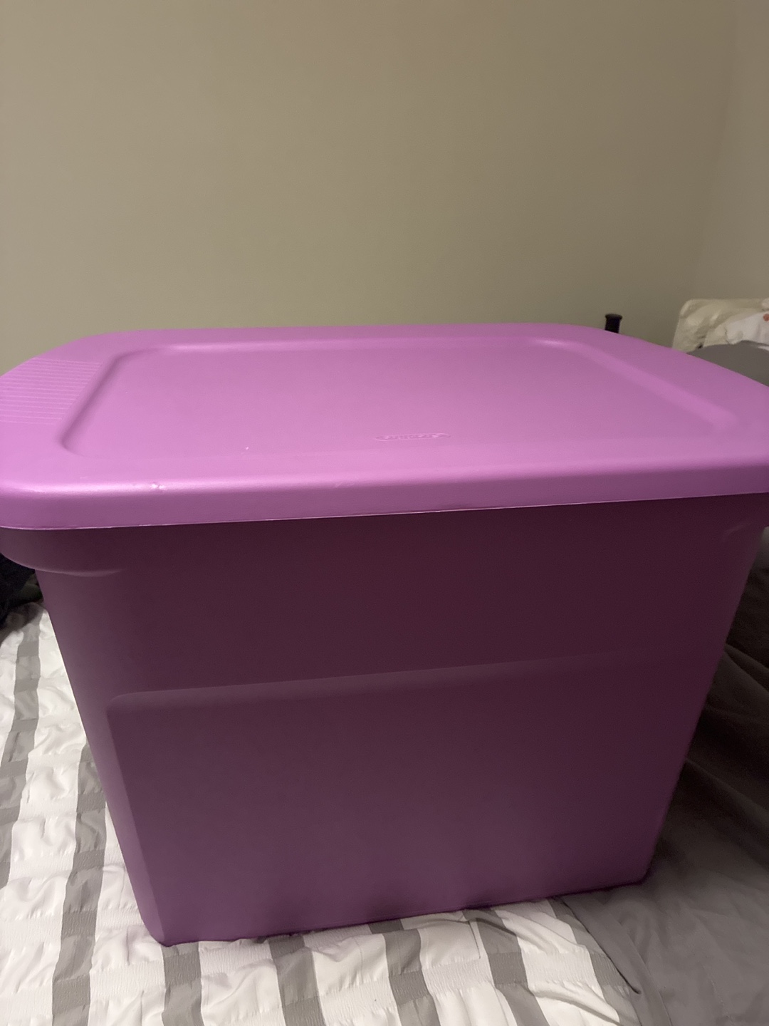 Purple Storage Bin with Lid