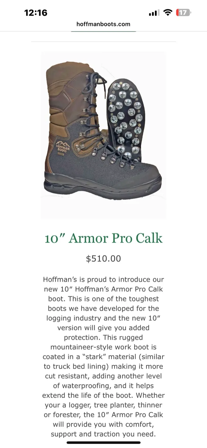 Hofmann Boots Armour Pro Calk 10” size 10.5 image indicator(7)