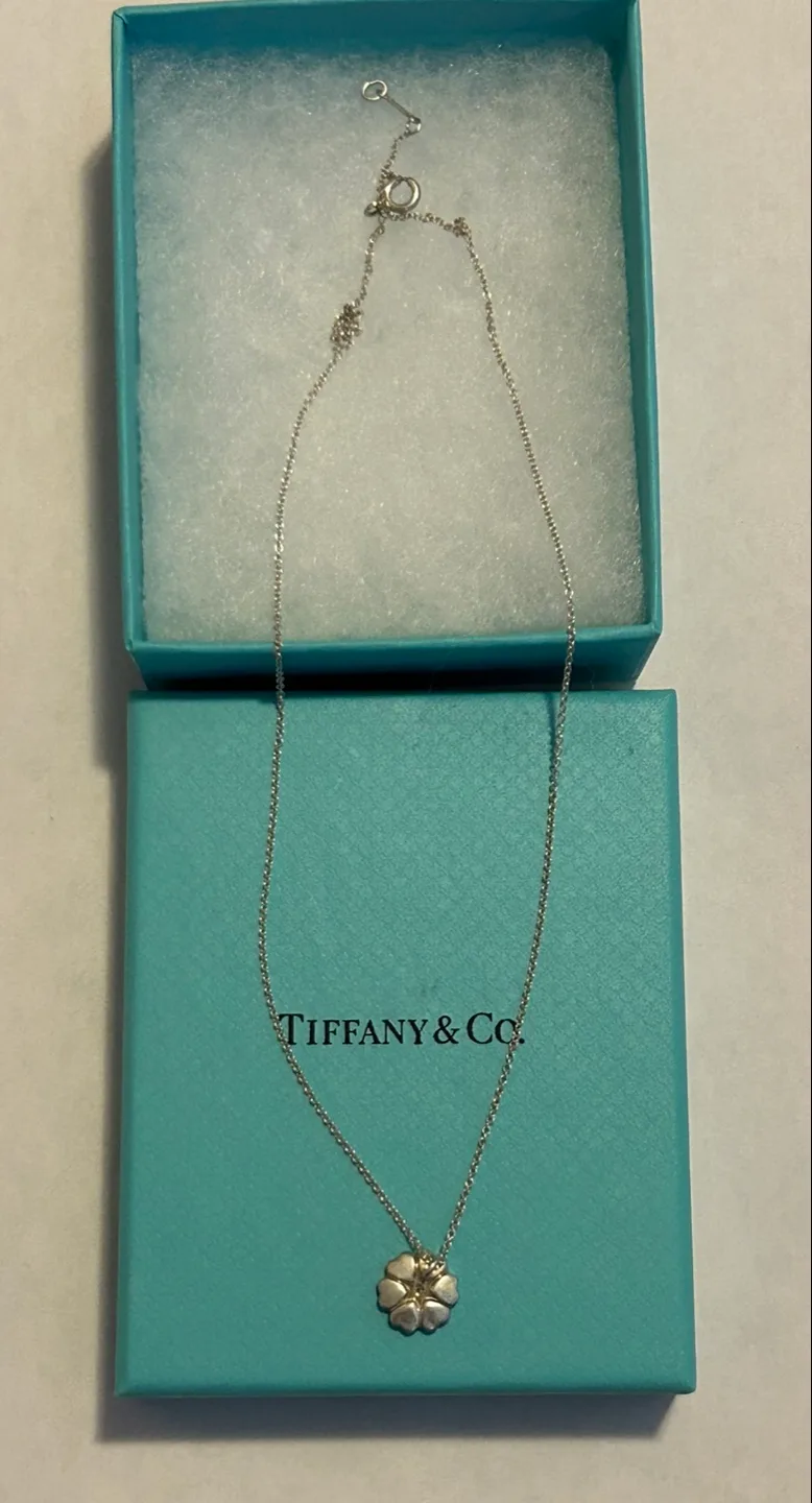 Tiffany & Co. Silver Flower Pendant Necklace image indicator(8)