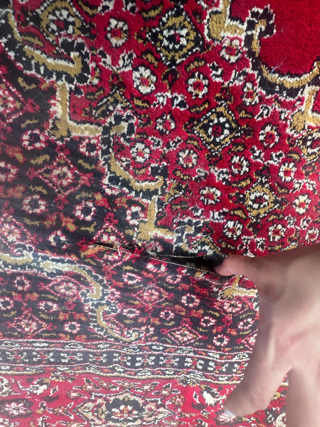 Red patterned area rug. Iranian rug. - photo 3
