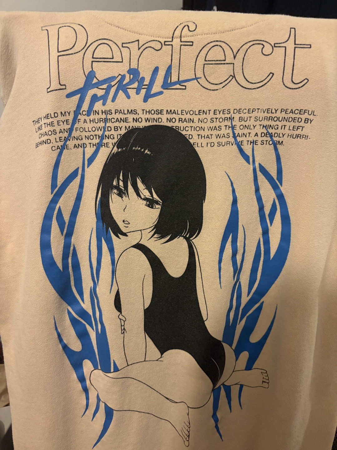 Perfect Thrill Anime Graphic Sweatshirt - photo 3
