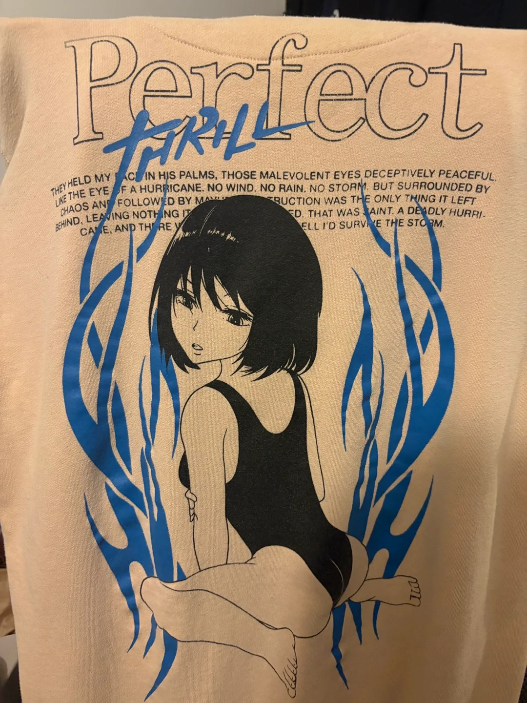 Perfect Thrill Anime Graphic Sweatshirt image indicator(3)