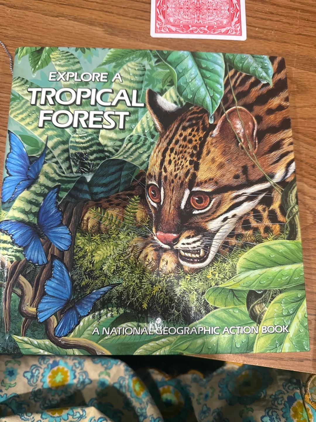 Explore a Tropical Forest Nat Geo Action Book thumbnail