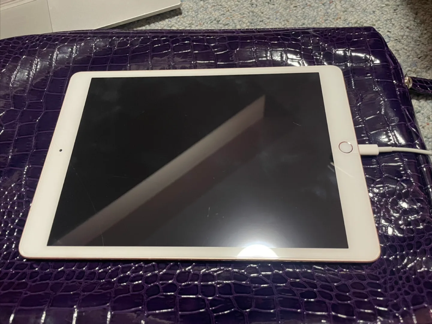 iPad Gold with Apple Pencil image indicator(4)