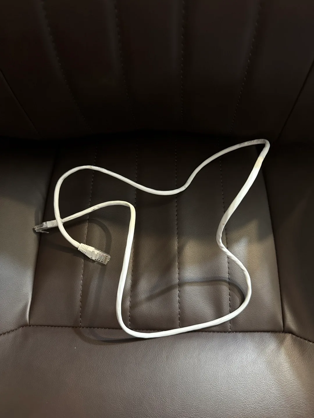 🧡 Ethernet Cable thumbnail