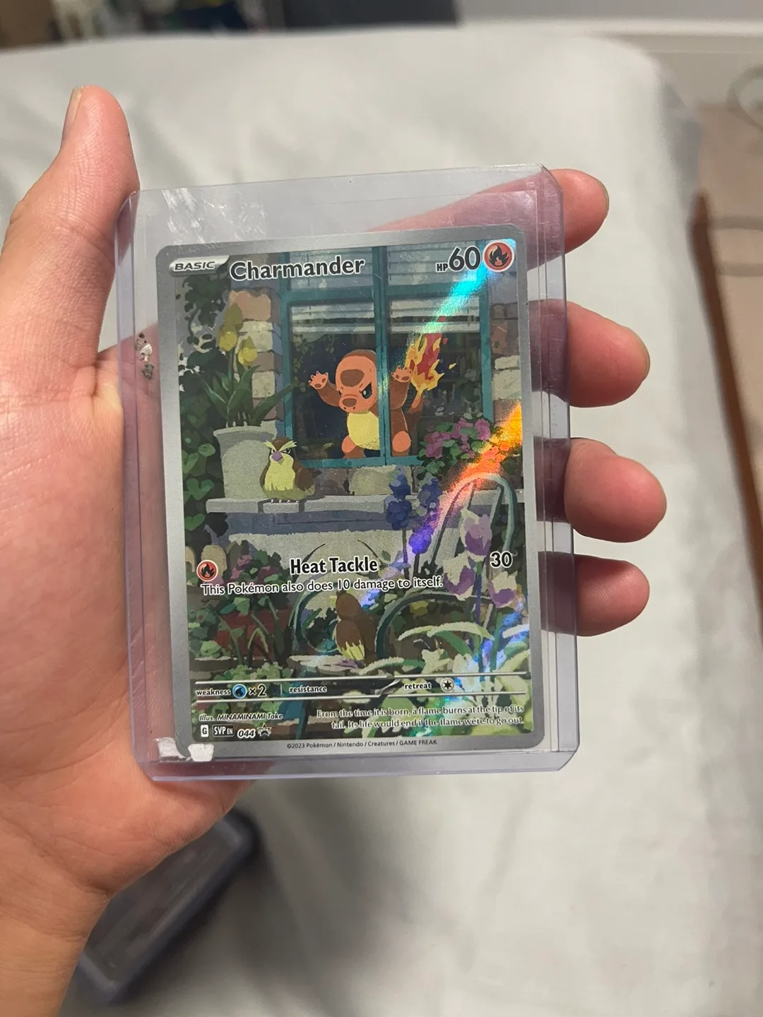 pokemon image indicator(2)