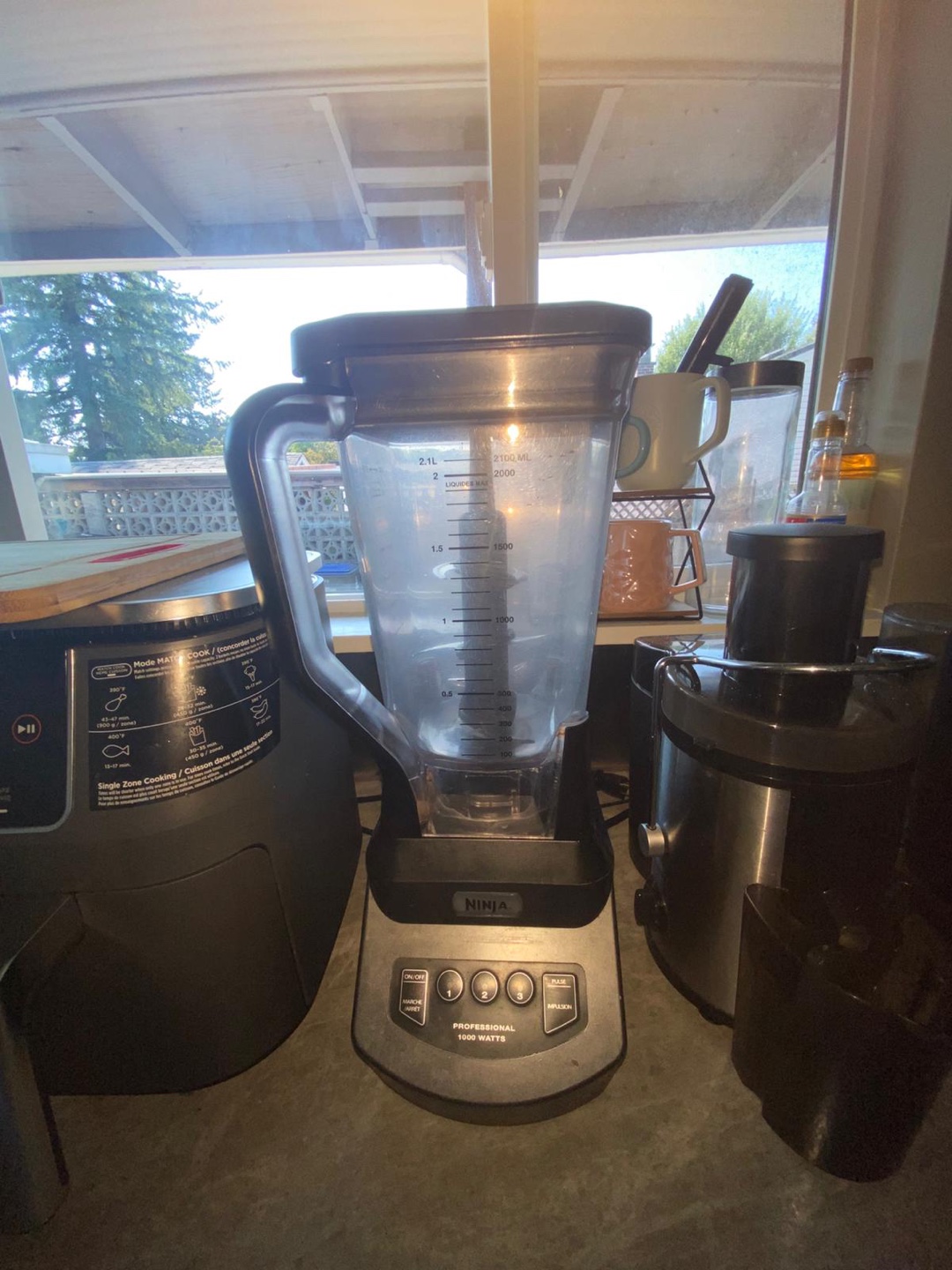 Ninja Professional 1000 Watts Blender