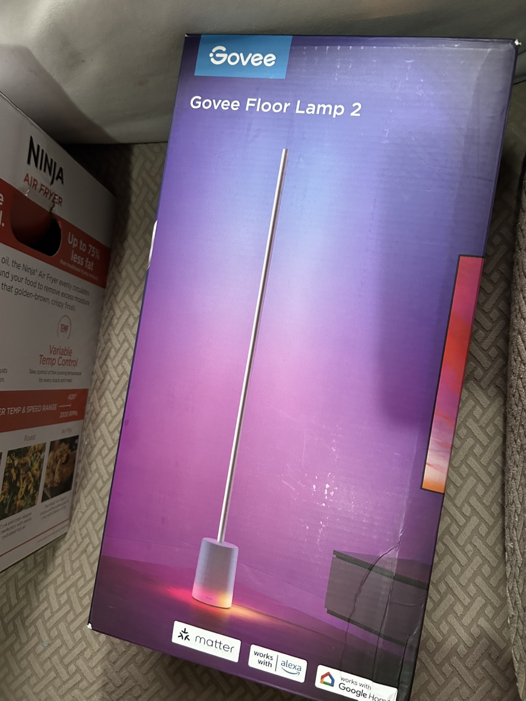 Govee Floor Lamp 2
