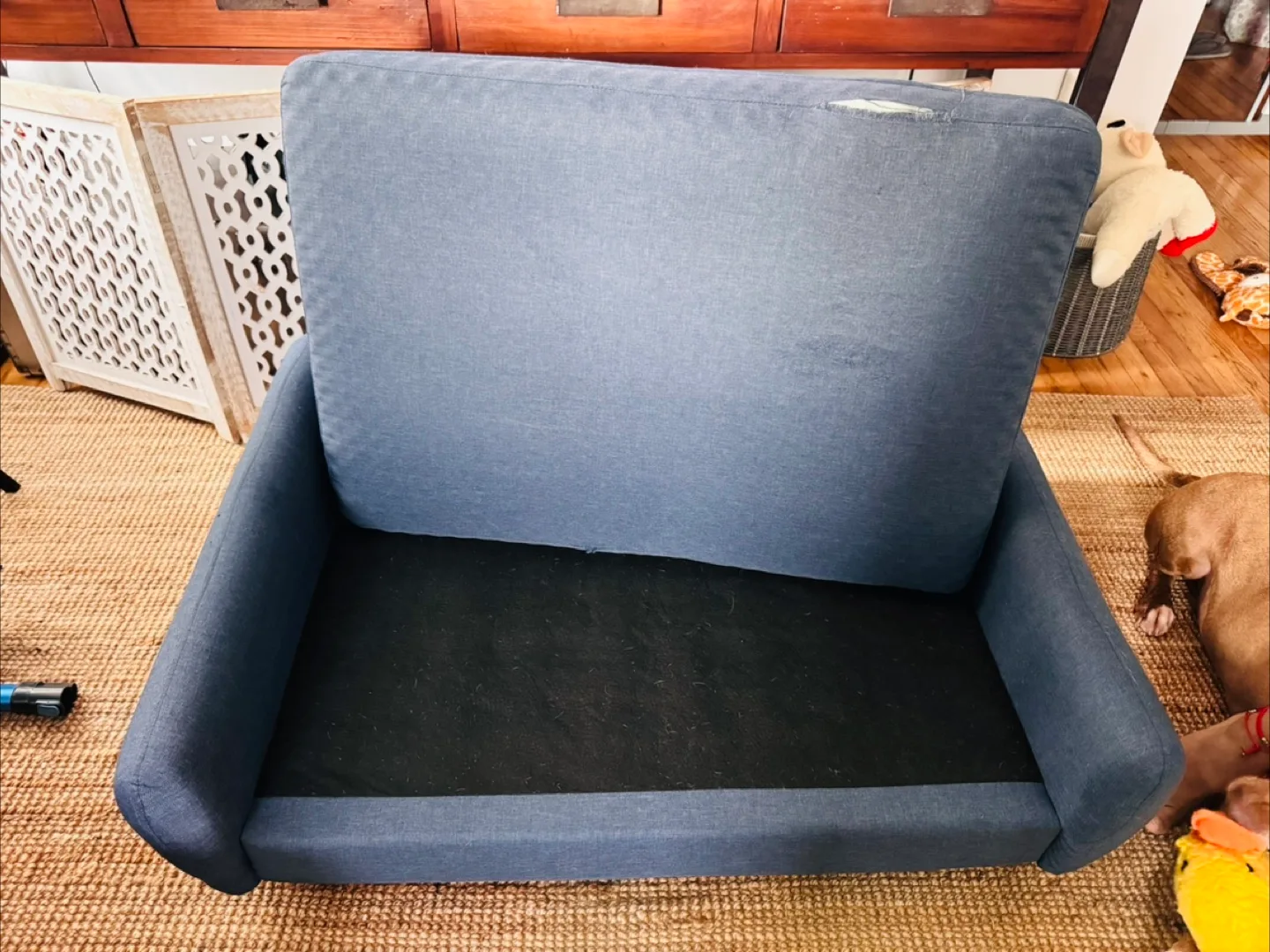 Blue Dog Sofa (42x31x17) image indicator(3)
