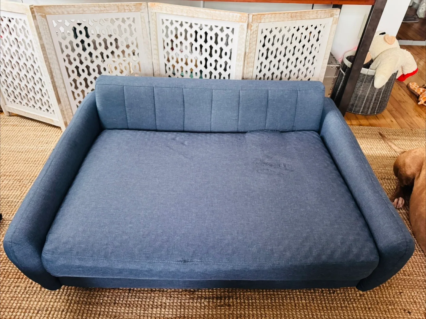 Blue Dog Sofa (42x31x17) image indicator(2)