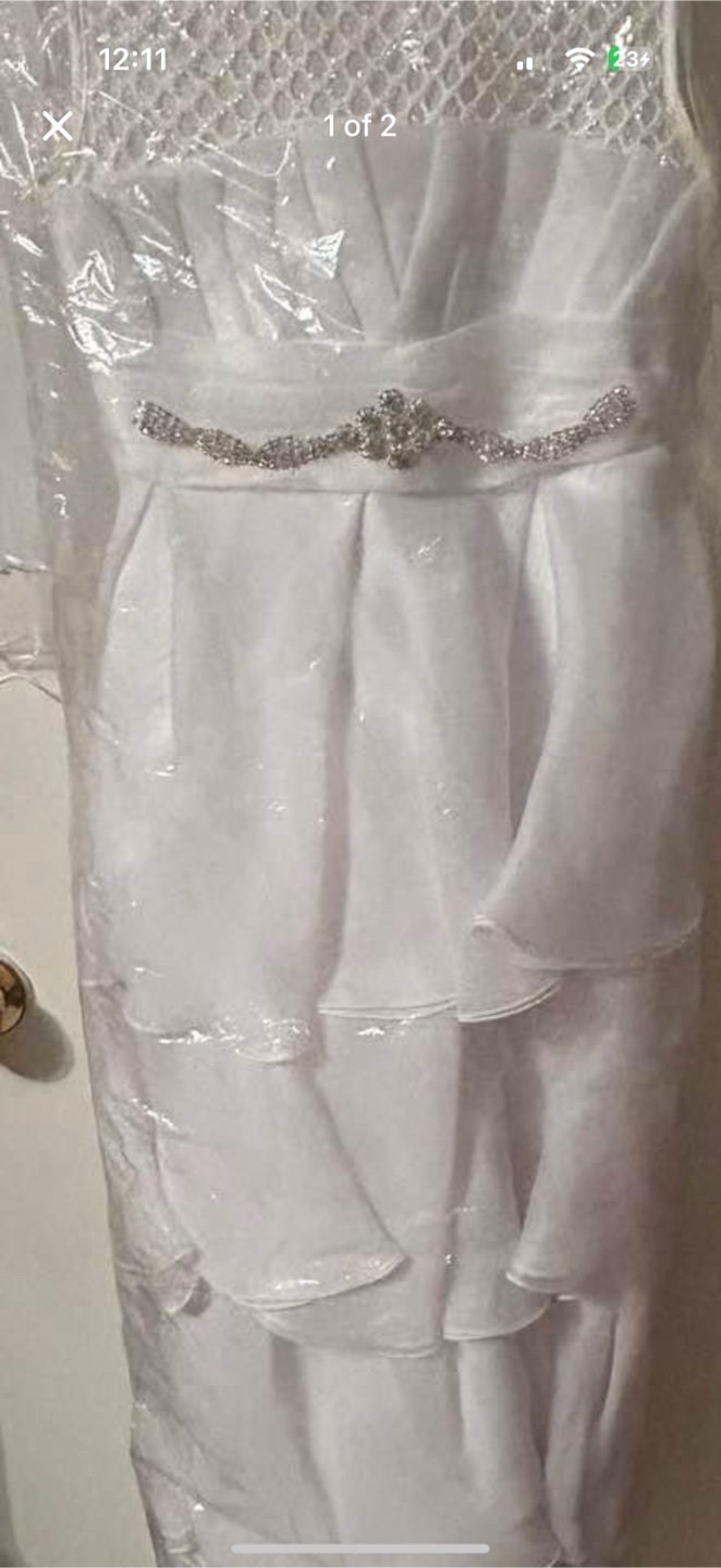 White Dress with Veil