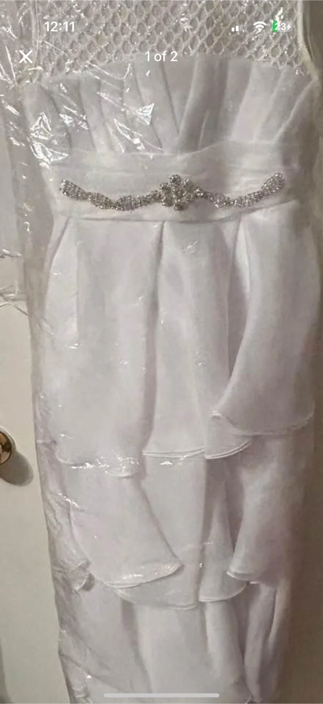White Dress with Veil thumbnail