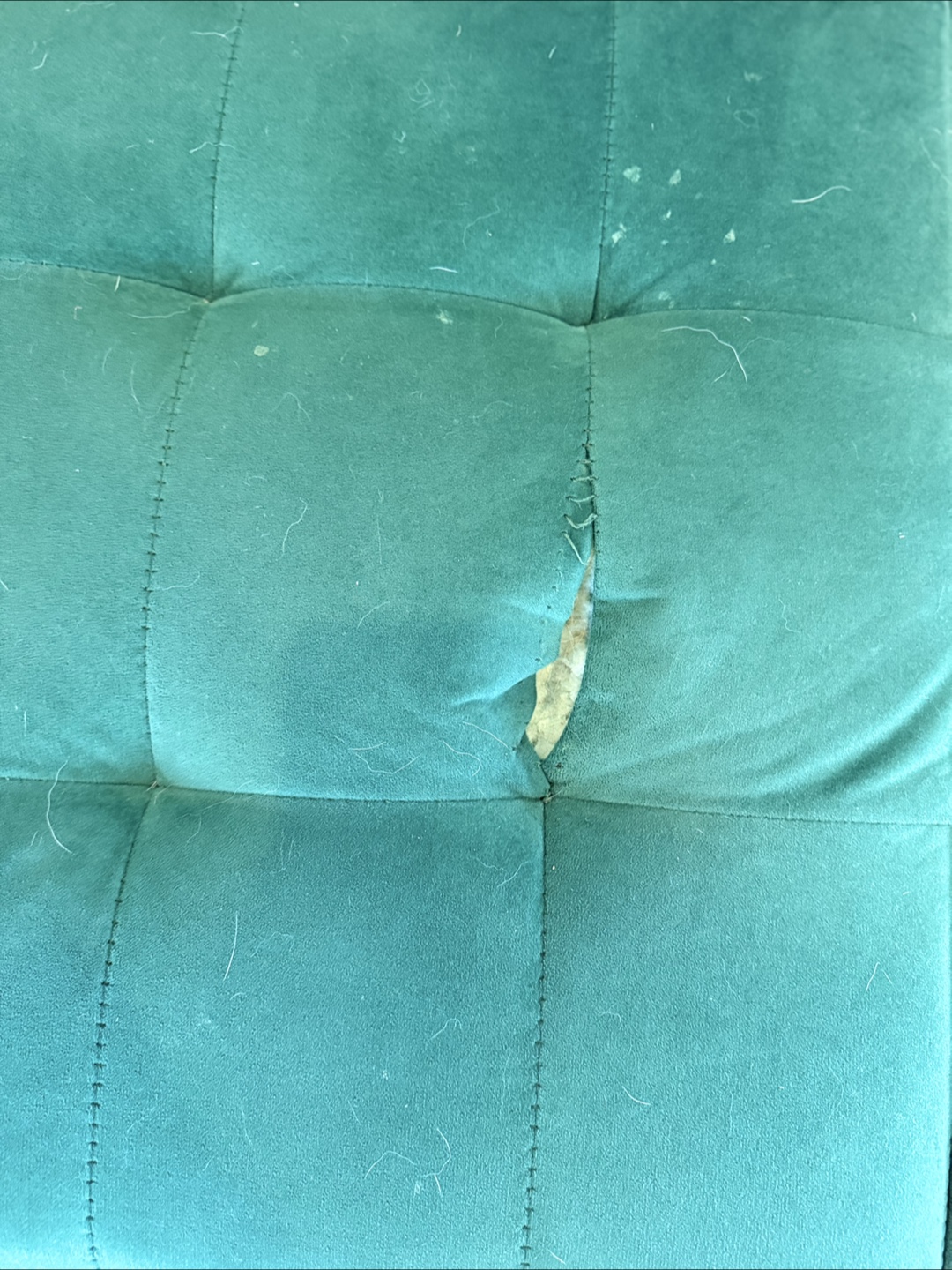 Green Velvet Accent Chair - Damaged - photo 3