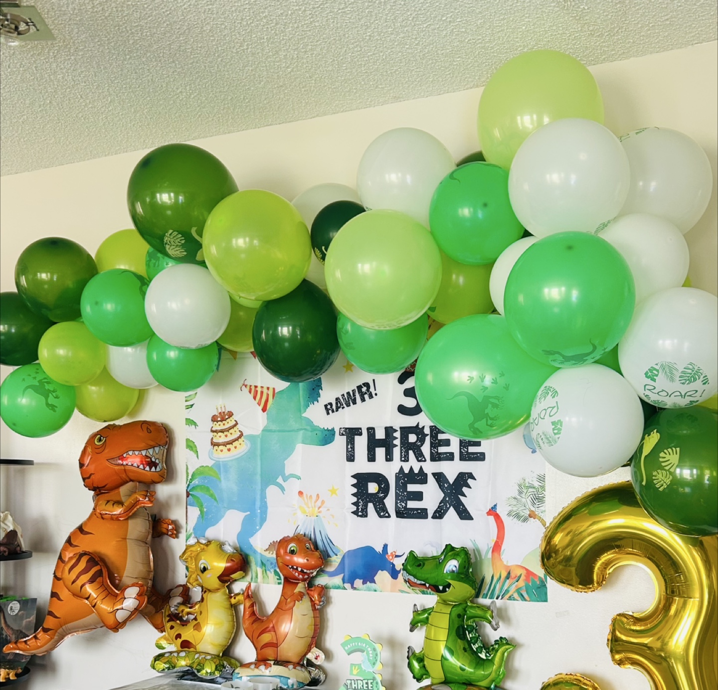 Three-rex party stuffs