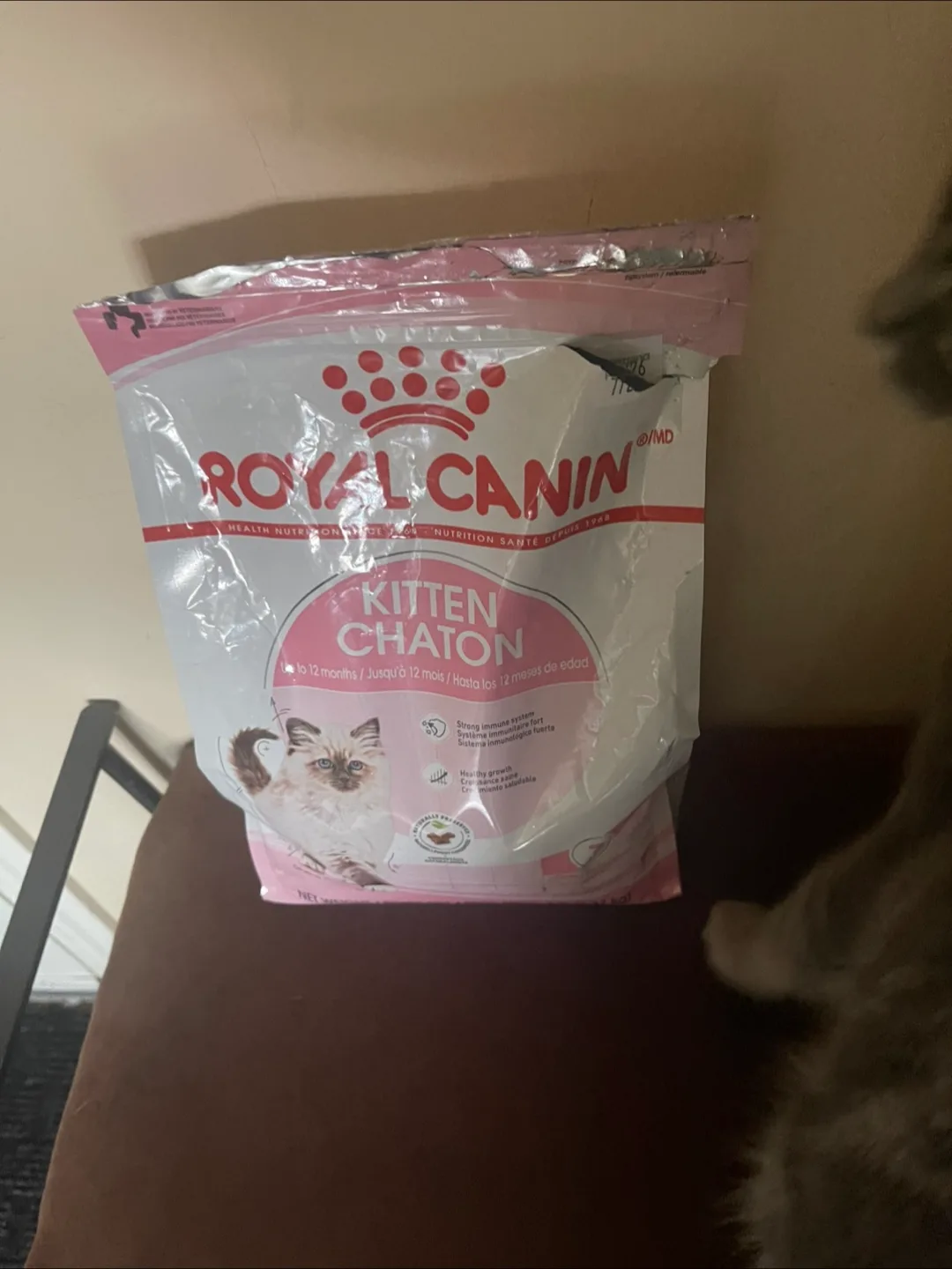 🧡 Royal Canin Kitten Food - Up to 12 Months image indicator(2)