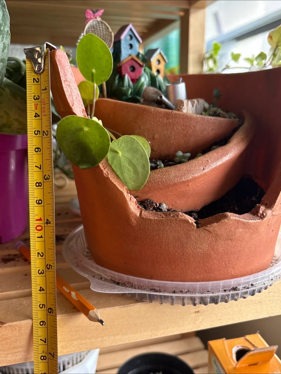 🧡Terracotta Fairy Garden Planter image indicator(2)