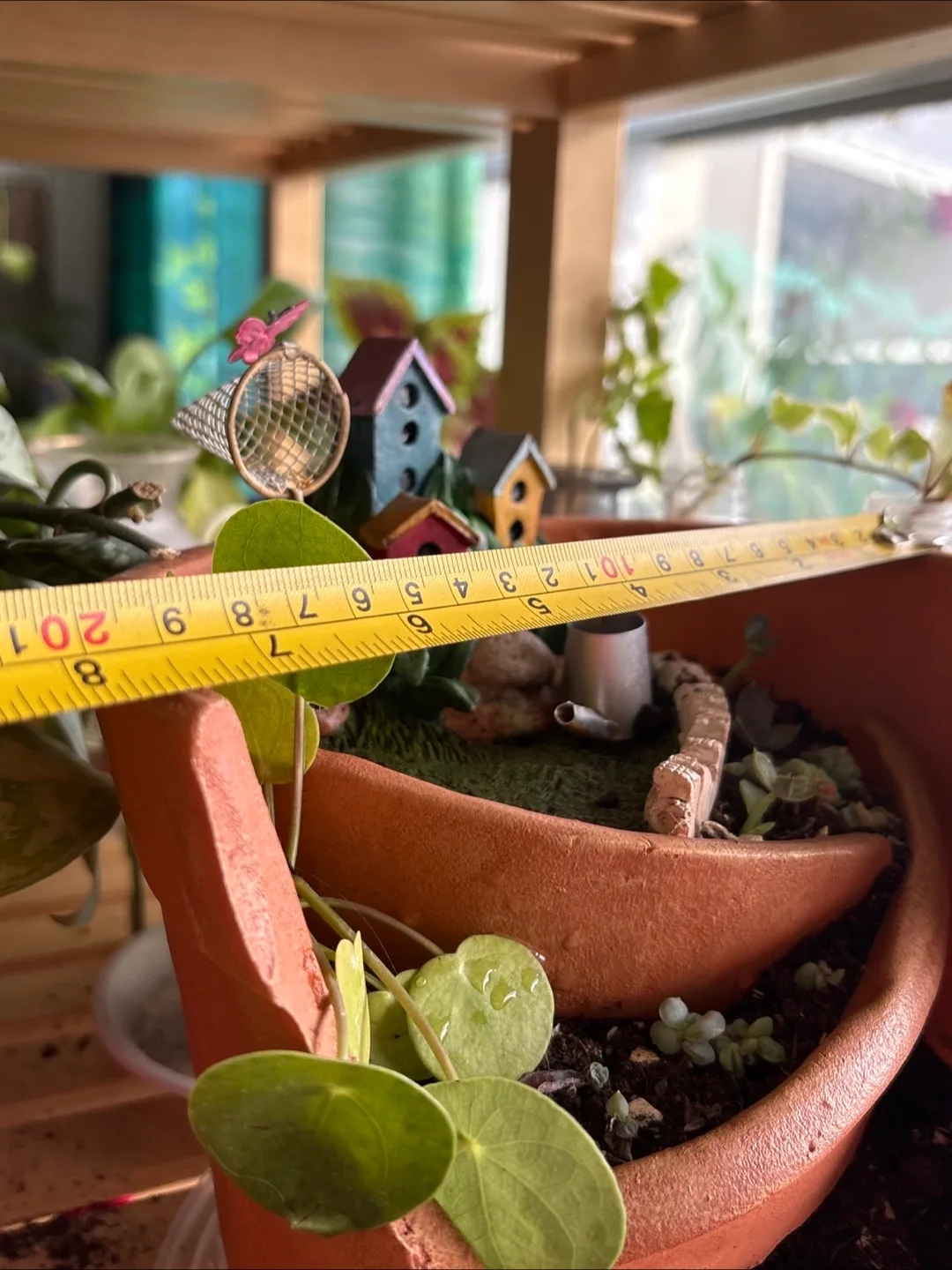 🧡Terracotta Fairy Garden Planter image indicator(3)