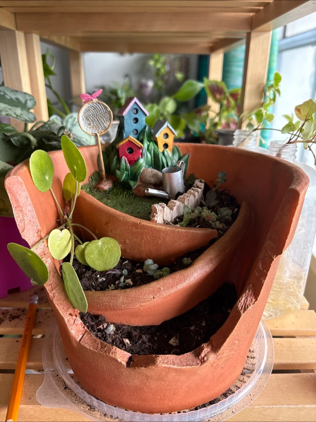 🧡Terracotta Fairy Garden Planter thumbnail