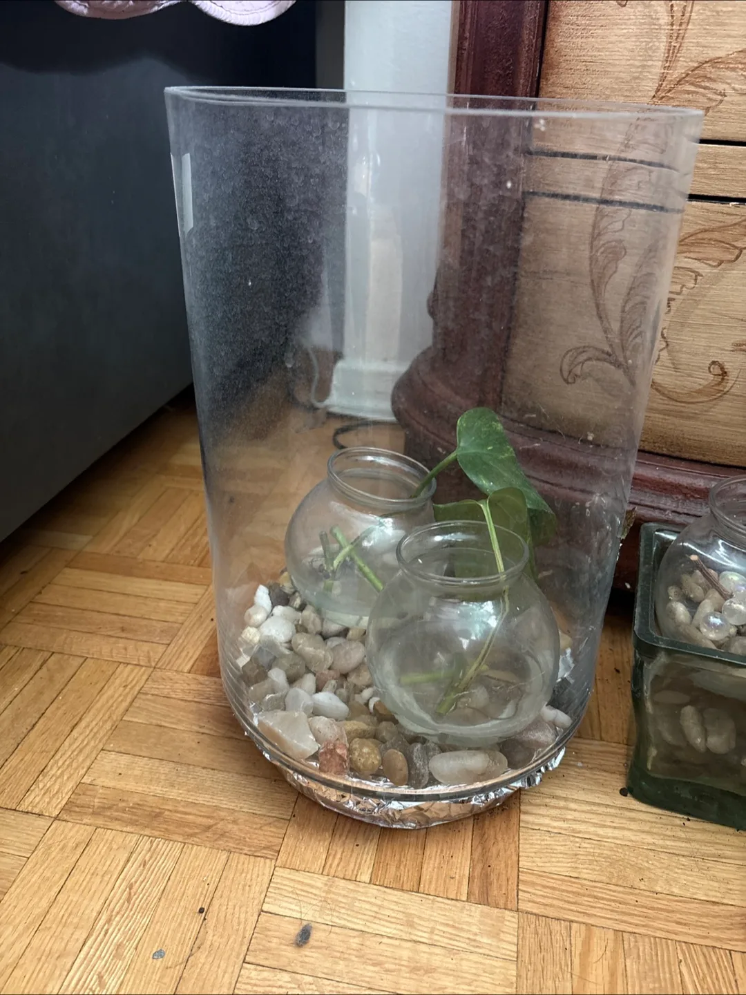 🧡Large Clear Plastic Terrarium thumbnail