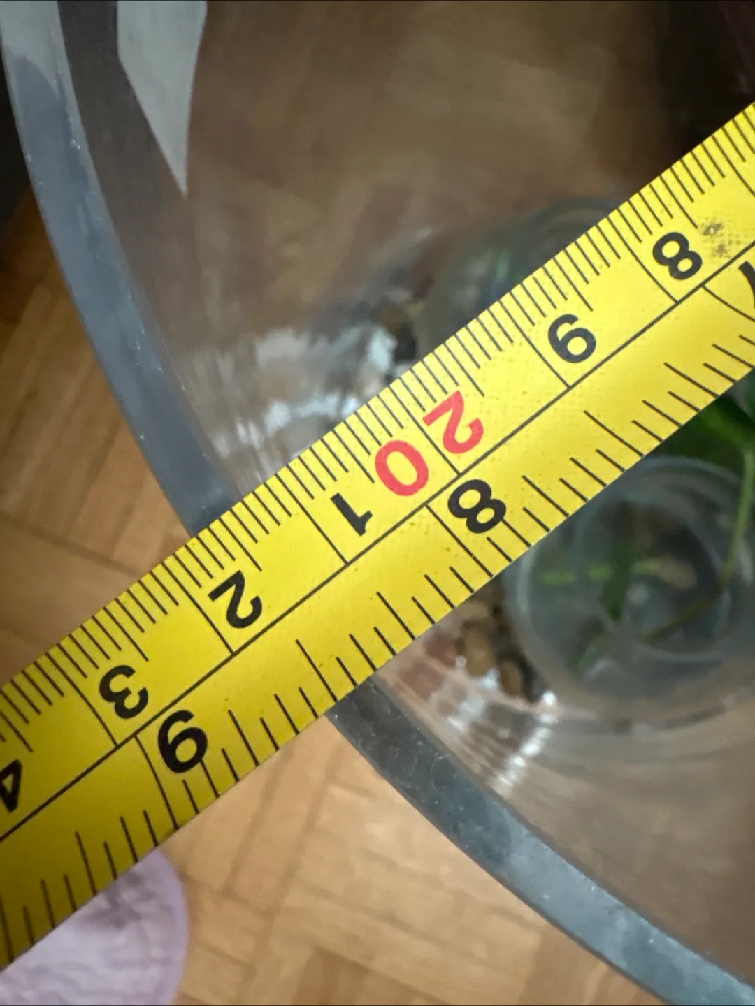 🧡Large Clear Plastic Terrarium image indicator(3)