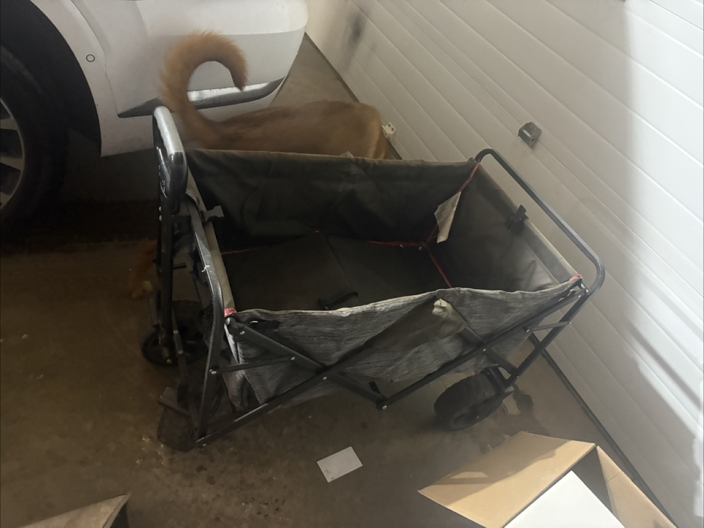 Folding Wagon