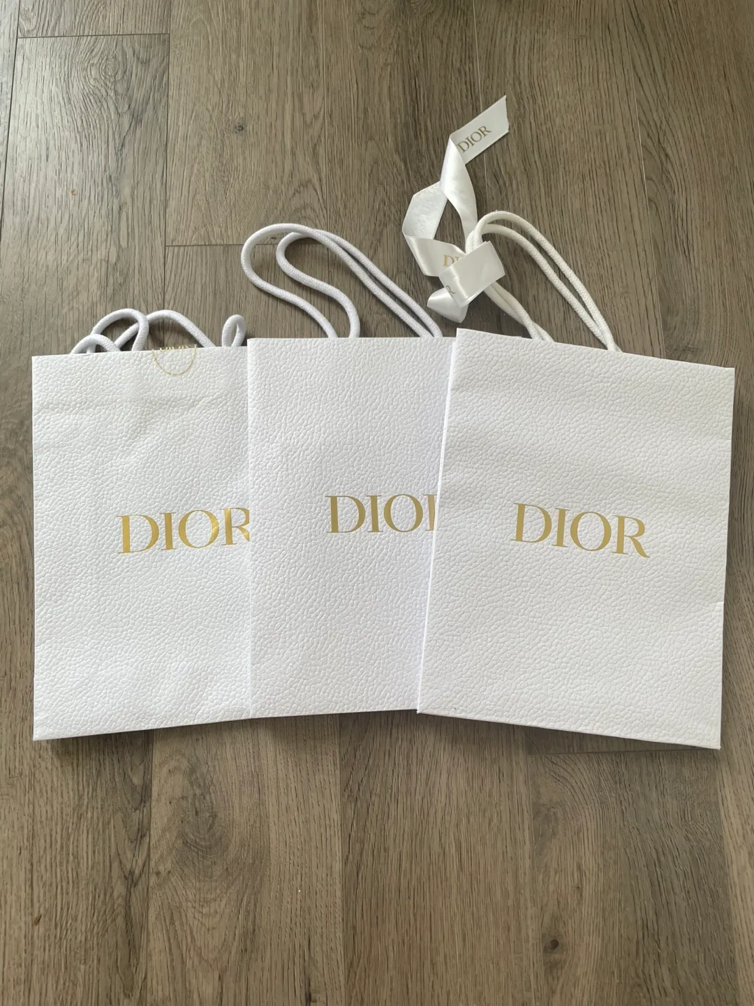 Dior Shopping Bags thumbnail