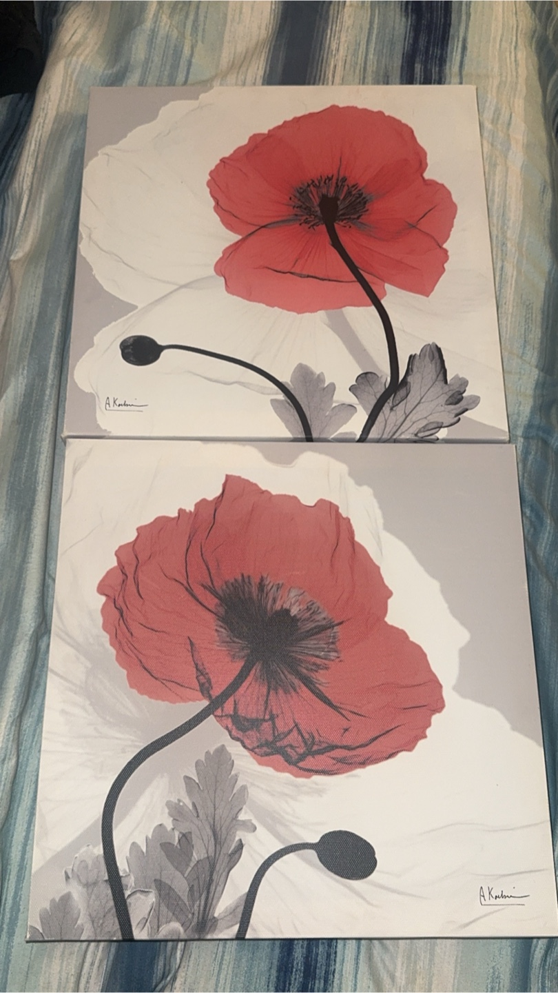 Set of 2 Floral Wall Art