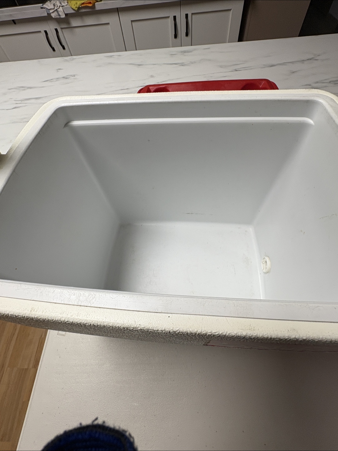 Coleman Super Oscar Cooler - Red & White - photo 5