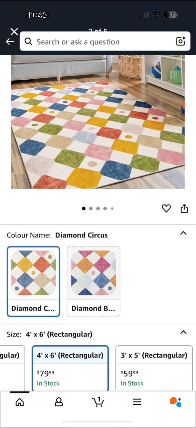 Diamond Circus Rug - 4' x 6' - photo 2