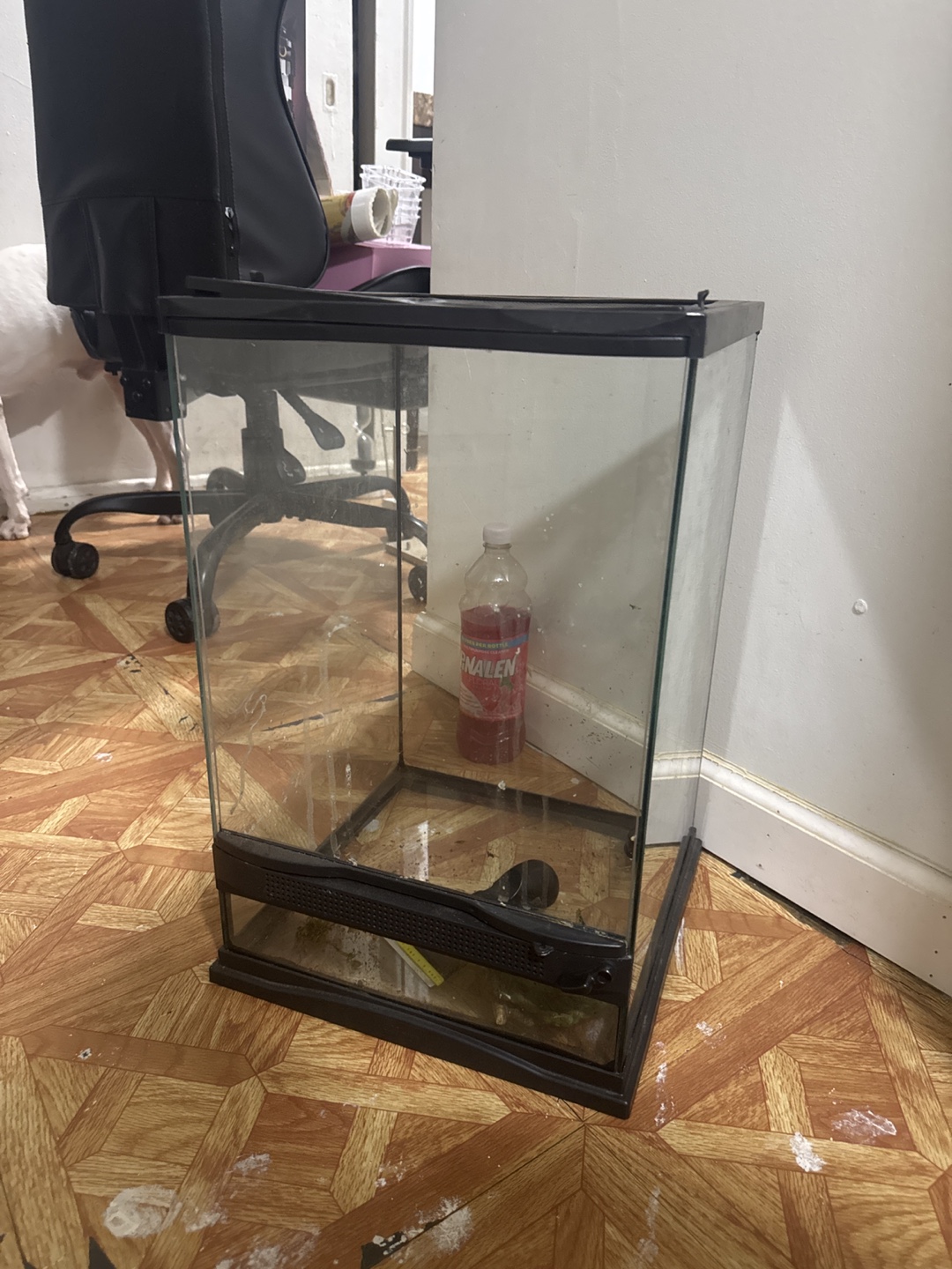 Used Reptile Terrarium