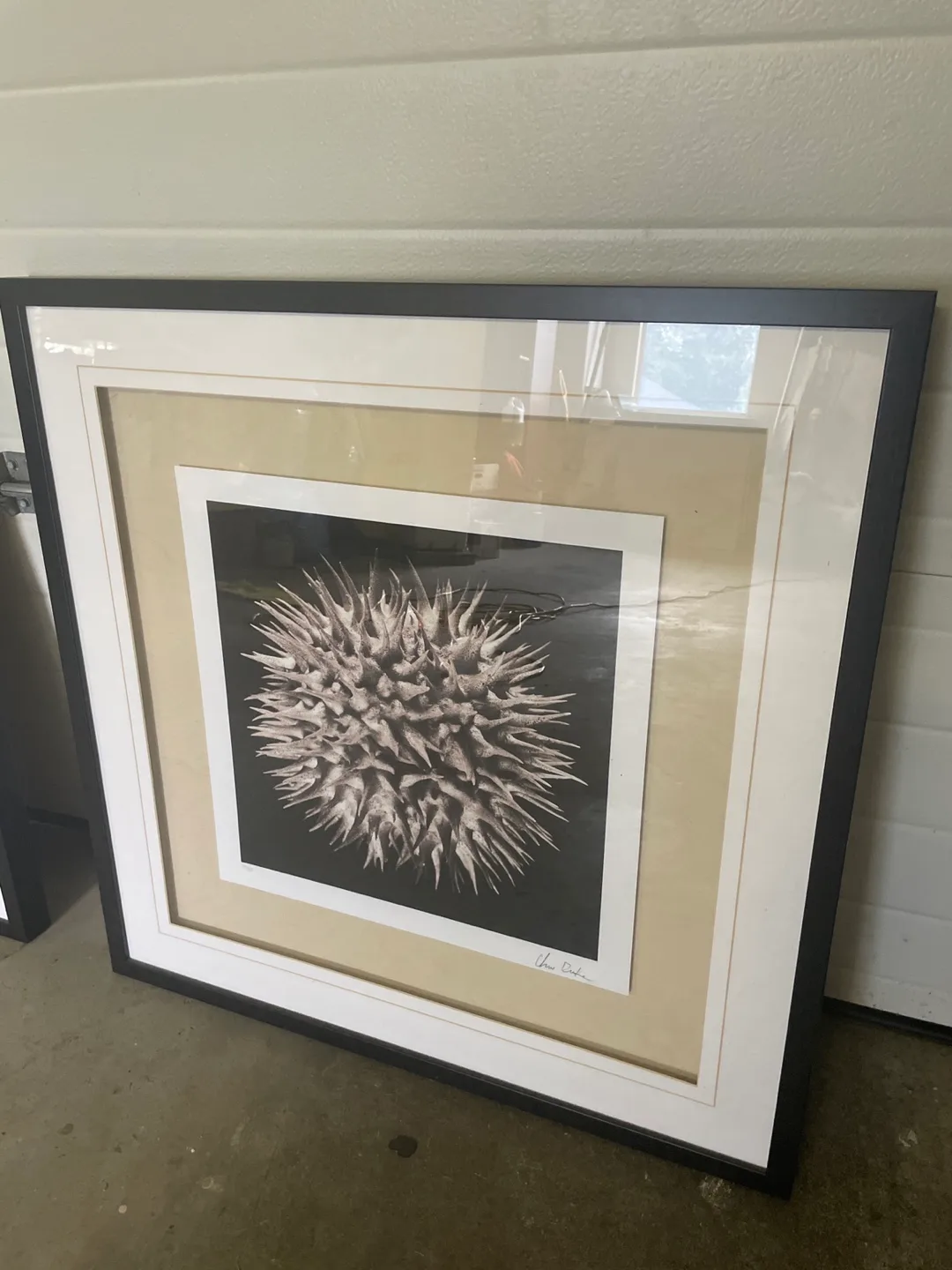 Set of 2 Framed Art Prints image indicator(2)