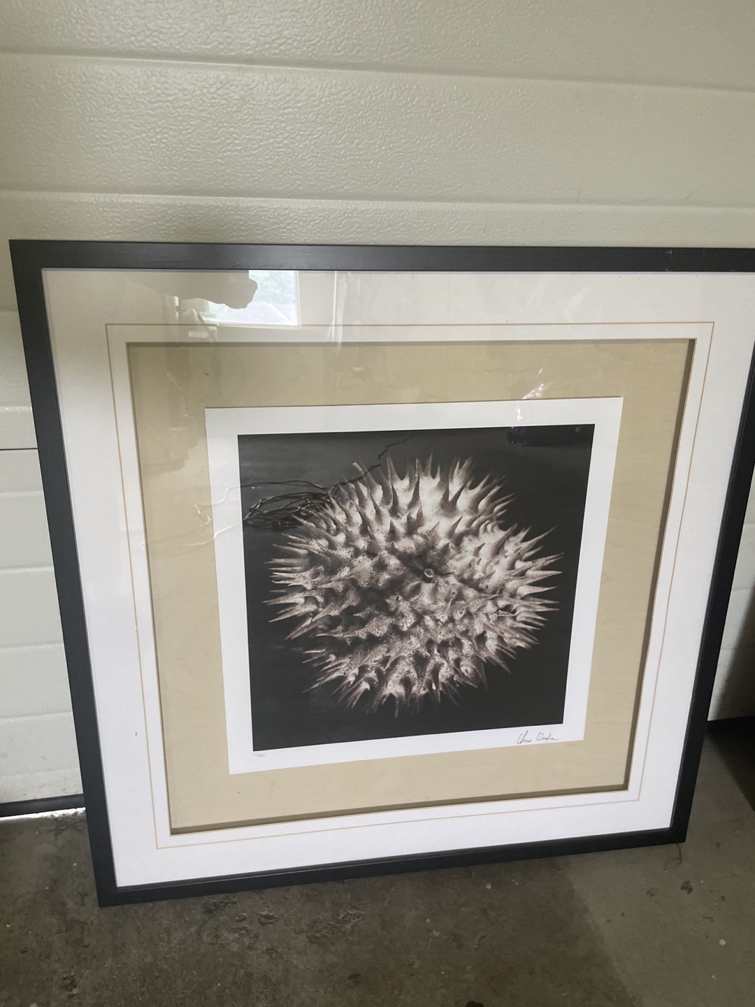 Set of 2 Framed Art Prints