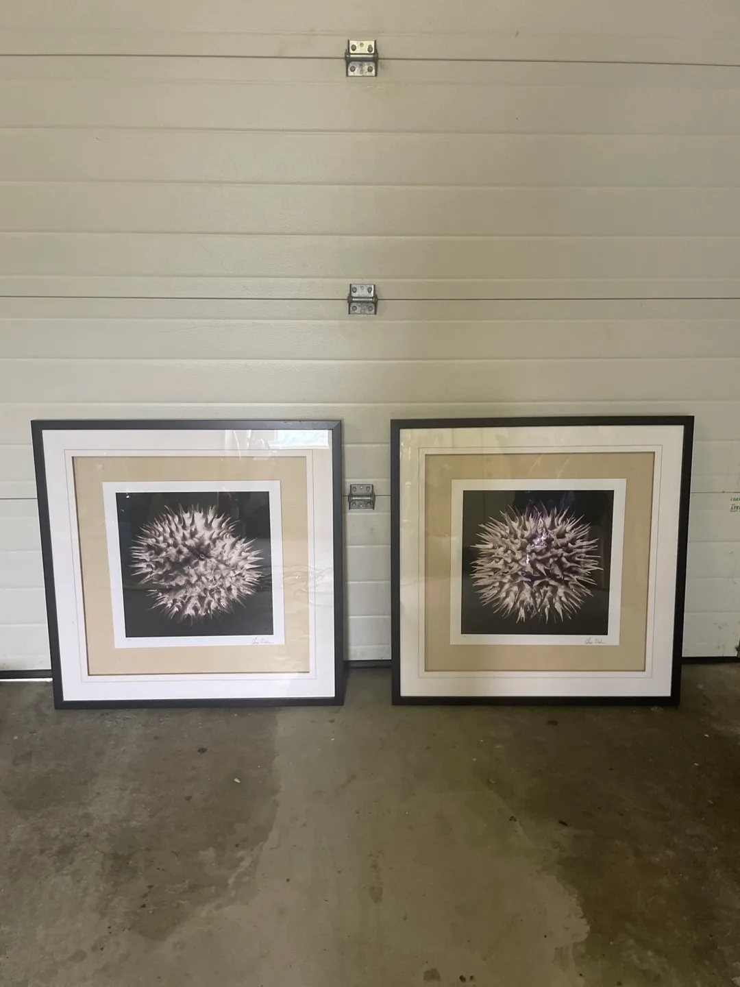 Set of 2 Framed Art Prints image indicator(3)