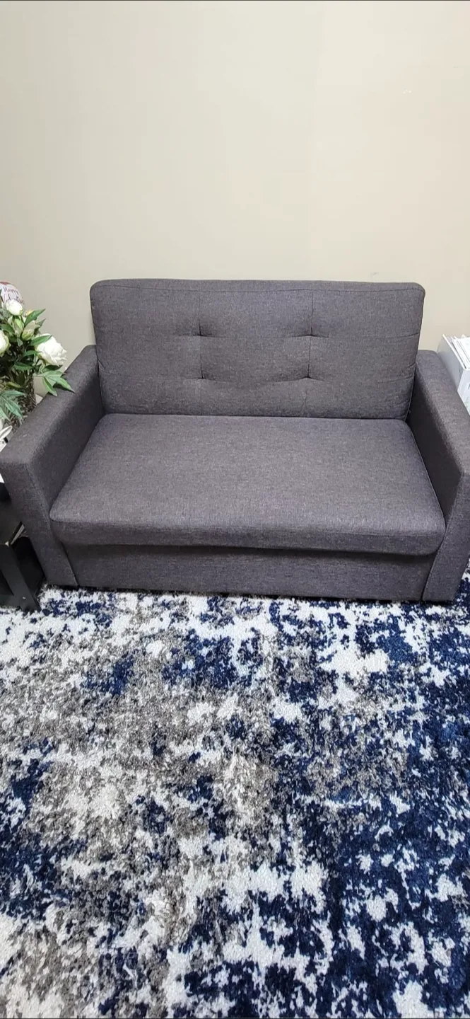 Gray Sofa Bed image indicator(2)