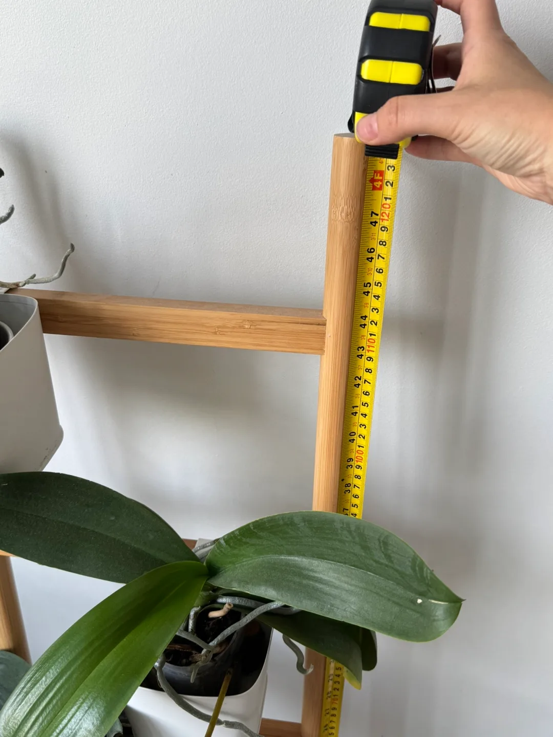 Plant Ladder Shelf image indicator(3)
