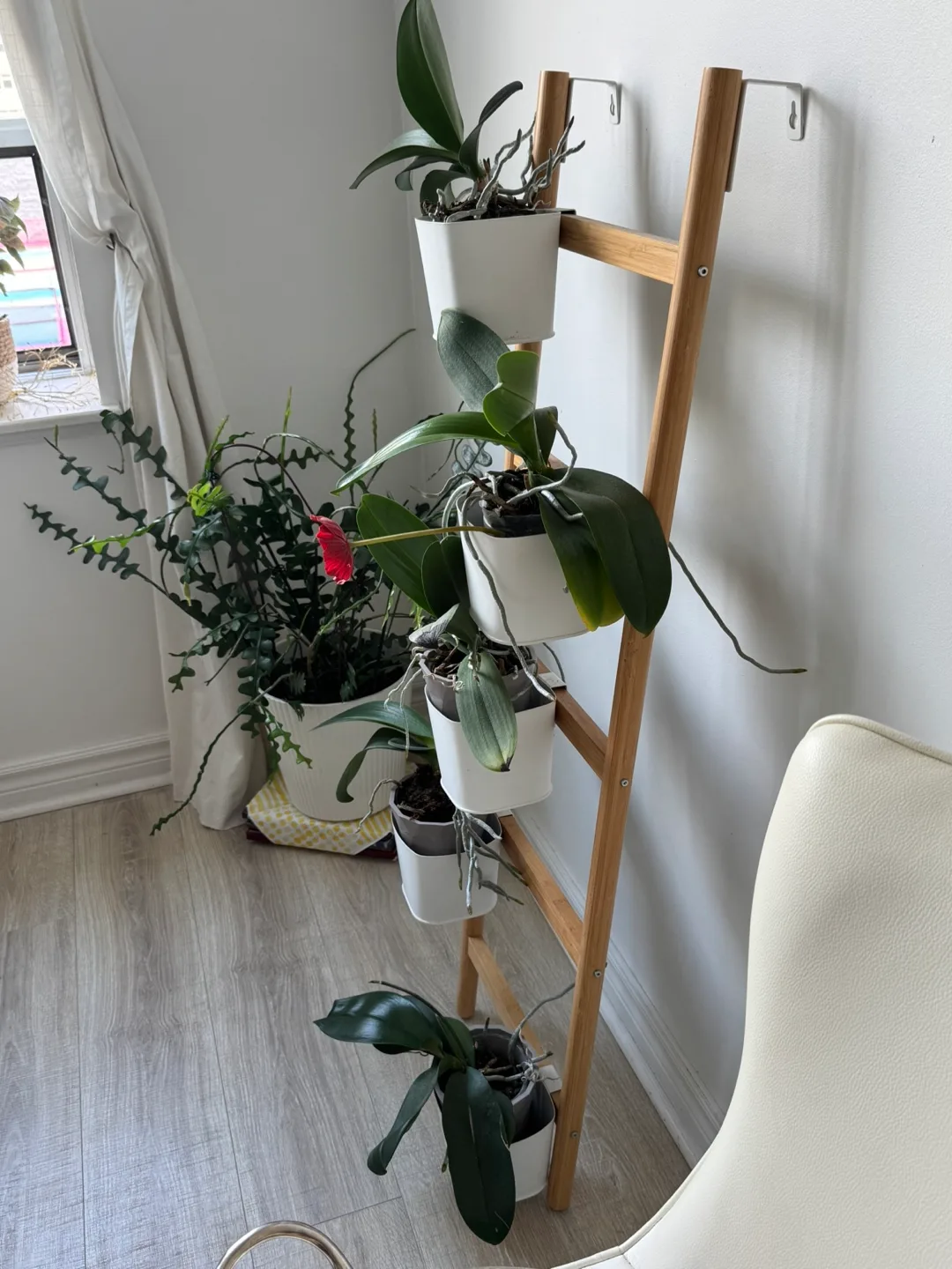 Plant Ladder Shelf image indicator(2)