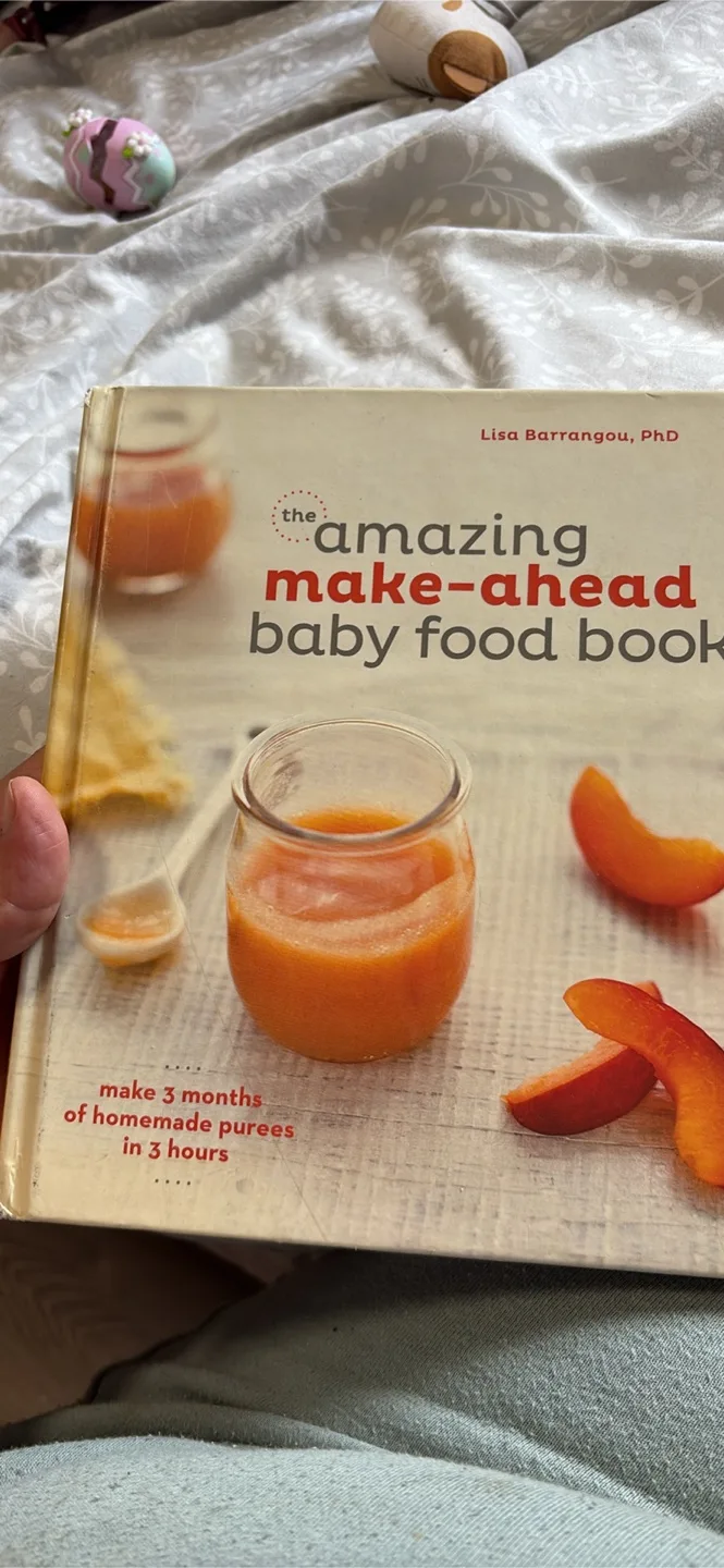 The Amazing Make-Ahead Baby Food Book thumbnail
